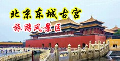 肏美女中国北京-东城古宫旅游风景区